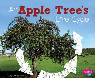 An Apple Tree's Life Cycle di Mary R. Dunn edito da CAPSTONE PR