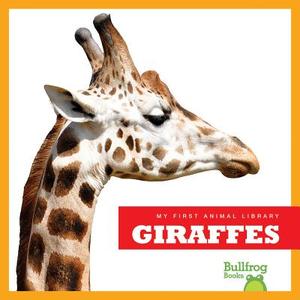 Giraffes di Rebecca Stromstad Glaser edito da BULLFROG BOOKS