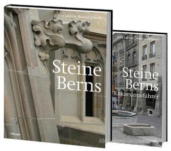 Steine Berns di Toni Labhart, Konrad Zehnder edito da Haupt Verlag AG