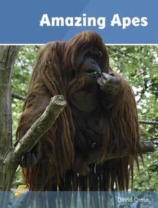 Amazing Apes di David Orme edito da Ransom Publishing Limited