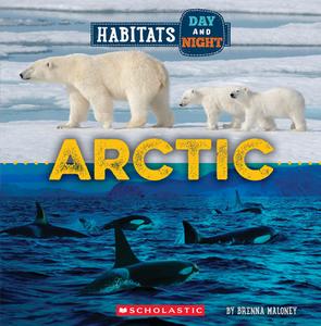Arctic (Wild World: Habitats Day and Night) di Brenna Maloney edito da CHILDRENS PR