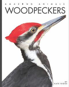 Woodpeckers di Kate Riggs edito da CREATIVE ED & PAPERBACKS
