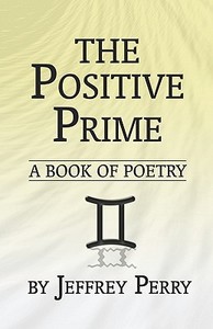 The Positive Prime di Jeffrey Perry edito da America Star Books