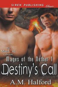 DESTINYS CALL MAGES OF THE NET di A. M. Halford edito da SIREN PUB