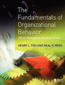 Fundamentals of Organizational Behavior di Tosi, Mero edito da John Wiley & Sons