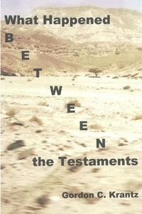 What Happened Between the Testaments di Gordon C. Krantz edito da Lulu.com