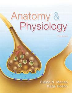 Anatomy & Physiology Plus Masteringa&p With Etext -- Access Card Package di Elaine N. Marieb, Katja Hoehn edito da Pearson Education (us)