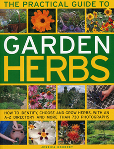 Practical Guide to Garden Herbs di Jessica Houdret edito da Anness Publishing