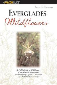 Everglades Wildflowers di Roger L. Hammer edito da Rowman & Littlefield