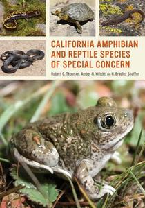 California Amphibian and Reptile Species of Special Concern di Robert C. Thomson, Amber N. Wright, H. Bradley Shaffer edito da University of California Press