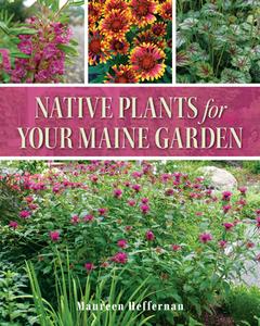 Native Plants For Your Maine Garden di Maureen Heffernan edito da Down East Books