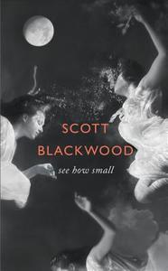 See How Small di Scott Blackwood edito da Harper Collins Publ. UK