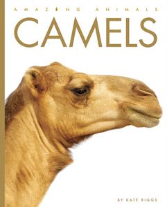 Camels di Kate Riggs edito da CREATIVE ED & PAPERBACKS
