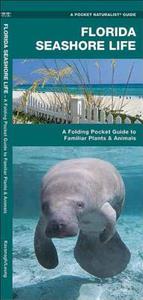 Florida Seashore Life a Folding Pocket Guide to Familiar Plants and Animals di James Kavanagh edito da Waterford Press