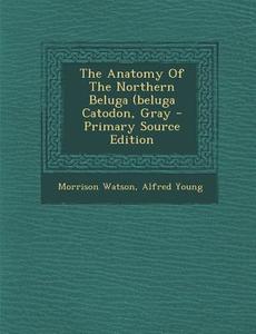The Anatomy of the Northern Beluga (Beluga Catodon, Gray di Morrison Watson, Alfred Young edito da Nabu Press