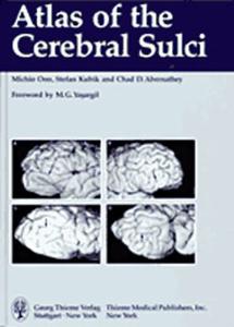 Atlas Of The Cerebral Sulci di Michio Ono, Stefan Kubik, C. D. Abernathey edito da Thieme Publishing Group