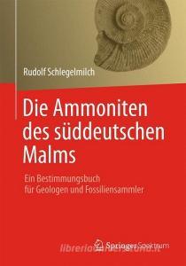 Die Ammoniten des süddeutschen Malms di Rudolf Schlegelmilch edito da Spektrum-Akademischer Vlg