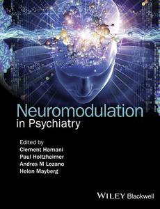 Neuromodulation in Psychiatry di Clement Hamani edito da Wiley-Blackwell