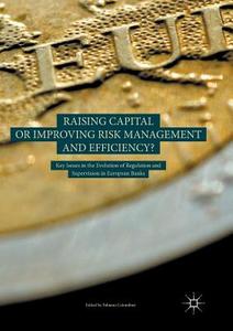 Raising Capital or Improving Risk Management and Efficiency? edito da Springer International Publishing