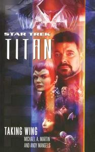 Star Trek di Andy Mangels, Michael A. Martin edito da Pocket Books/Star Trek