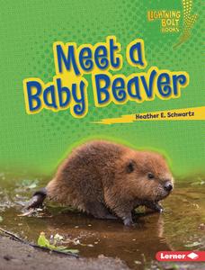 Meet a Baby Beaver di Heather E. Schwartz edito da LERNER PUBN