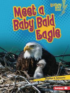 Meet a Baby Bald Eagle di Heather E. Schwartz edito da LERNER PUBN