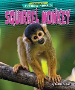 Squirrel Monkey di Colleen Sexton edito da BEARPORT PUB CO INC