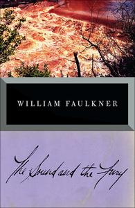 The Sound and the Fury di William Faulkner edito da PERFECTION LEARNING CORP