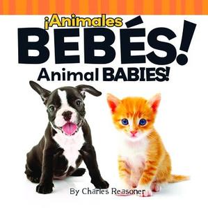 Animales Bebes!/Animal Babies! di Charles Reasoner edito da Little Birdie Books
