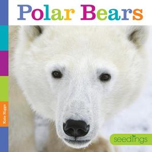 Seedlings: Polar Bears di Kate Riggs edito da CREATIVE ED & PAPERBACKS