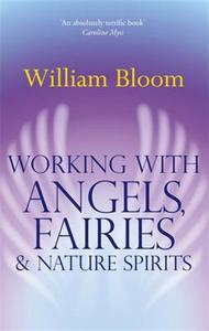 Working With Angels, Fairies And Nature Spirits di William Bloom edito da Little, Brown Book Group