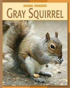 Gray Squirrel di Barbara A. Somervill edito da CHERRY LAKE PUB
