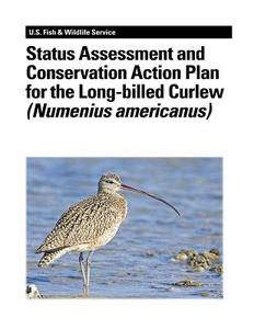 Status Assessment and Conservation Action Plan for the Long-Billed Curlew (Numenius Americanus) di Suzanne D. Fellows, Stephanie L. Jones, U. S. Department of Interior edito da Createspace