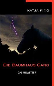 Die Baumhaus-Gang - Das Unwetter di Katja King edito da Books on Demand