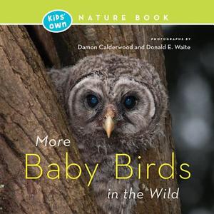 More Baby Birds in the Wild di Damon Calderwood, Donald E. Waite edito da HERITAGE HOUSE