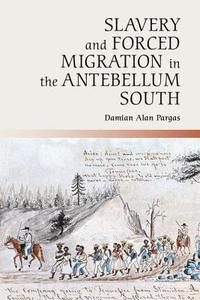 Slavery and Forced Migration in the Antebellum South di Damian Alan Pargas edito da Cambridge University Press