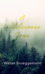 A Wilderness Zone di Walter Brueggemann edito da Cascade Books