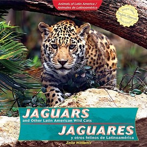Jaguars and Other Latin American Wild Cats =: Jaguares y Otros Felinos de Latinoamerica di Zella Williams edito da PowerKids Press