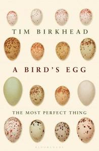 The Most Perfect Thing di Tim Birkhead edito da Bloomsbury Publishing PLC