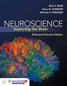 Neuroscience: Exploring the Brain, Enhanced Edition di Mark Bear, Barry Connors, Michael A. Paradiso edito da JONES & BARTLETT PUB INC