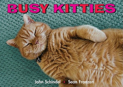 Busy Kitties di John Schindel, Sean Franzen edito da Tricycle Press