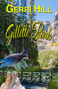 Gillette Park di Gerri Hill edito da BELLA BOOKS