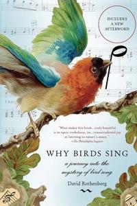 Why Birds Sing: A Journey Into the Mystery of Bird Song di David Rothenberg edito da BASIC BOOKS