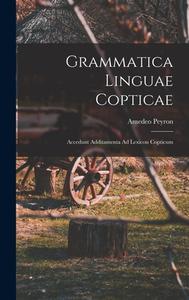 Grammatica Linguae Copticae: Accedunt Additamenta Ad Lexicon Copticum di Amedeo Peyron edito da LEGARE STREET PR