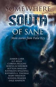 Somewhere South of Sane: More Stories from False Key di Serena Schreiber edito da Createspace