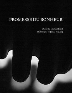 Promesse du Bonheur di Michael Fried, James Welling edito da David Zwirner