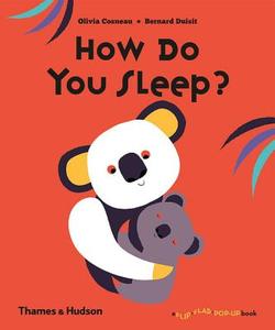 How Do You Sleep? di Olivia Cosneau, Bernard Duisit edito da Thames & Hudson Ltd
