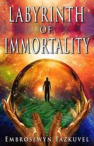 Labyrinth of Immortality di Embrosewyn Tazkuvel edito da Kaleidoscope Publications