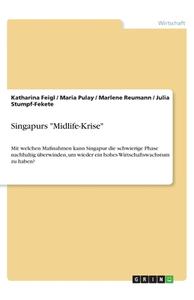 Singapurs "Midlife-Krise" di Katharina Feigl, Maria Pulay, Marlene Reumann, Julia Stumpf-Fekete edito da GRIN Verlag