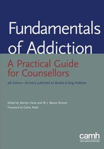 Fundamentals Of Addiction di Marilyn Herie edito da Centre For Addiction And Mental Health